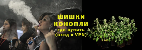 PSILOCYBIN Армянск