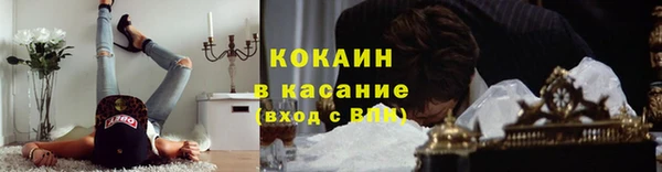 стафф Аркадак