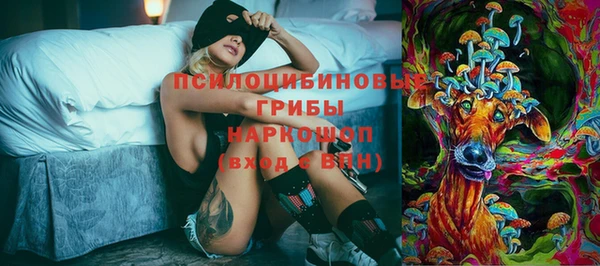 PSILOCYBIN Армянск