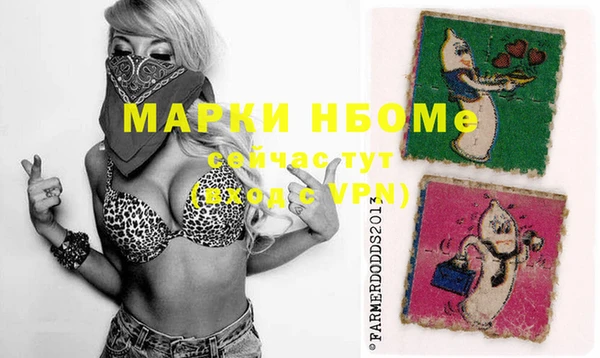 стафф Аркадак