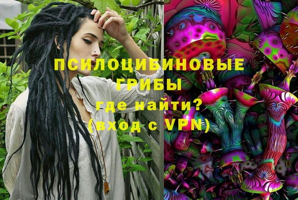 стафф Аркадак