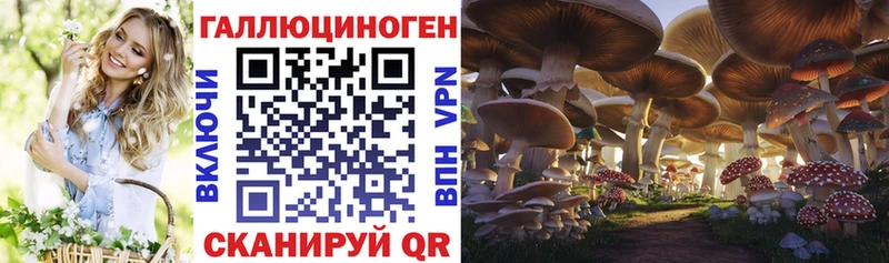 Псилоцибиновые грибы Cubensis  где купить наркотик  Осташков 
