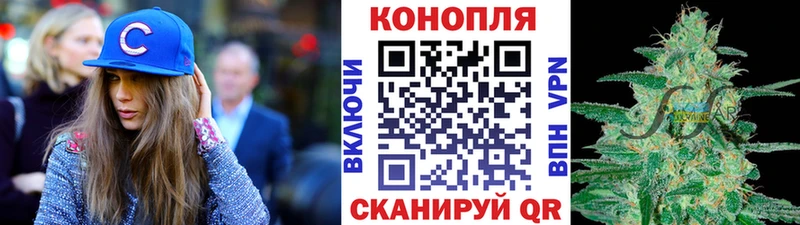 Бошки Шишки конопля  сколько стоит  Осташков 